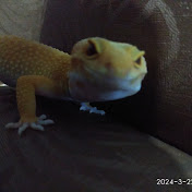 Profile Picture of Nathaniel McKenzie (@nathanielmckenzie4091) on Youtube