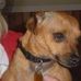 Profile Picture of Buddy Nelson (@buddy.nelson.73) on Facebook