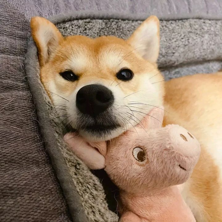 Profile Picture of Liu An Ping (@liuanping0) on Tiktok