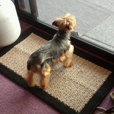 Profile Picture of Bob Prewitt (@PrewittBob) on Twitter