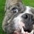Profile Picture of Kevin Frankenberger (@kevinfrankenber) on Pinterest