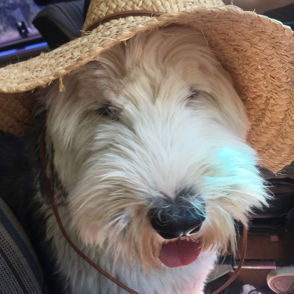 Profile Picture of Amber Wirth (@amberwirth8) on Poshmark