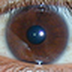 Profile Picture of Hasan Ahmed (@hasan.ahmed) on Flickr