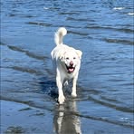 Profile Picture of Kaley Watts (@kaley.watts.73) on Facebook