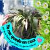 Profile Picture of Vivian Acosta (@vivian.acosta.9843499) on Facebook