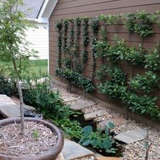 Profile Picture of Blake Horticulture (@Adamchristy420) on Twitter