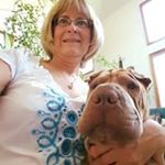 Profile Picture of Linda Dawson (@linda.dawson.792740) on Instagram