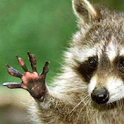 Profile Picture of Cassidy Liu (@cassidyliu9804) on Youtube