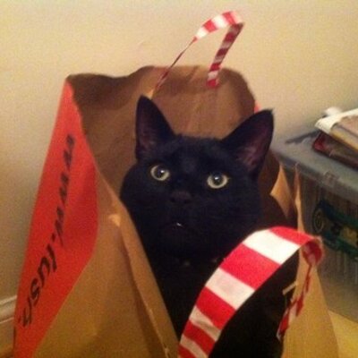 Profile Picture of Frances Jane Sharp (@fj32f) on Twitter