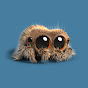 Profile Picture of Lucas the Spider (@@joshuaslice) on Tiktok