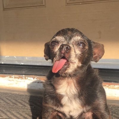 Juicy Jeff - Twitter Profile Picture of Juicy Jeff (@GermXonDeck) on Twitter