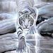 Profile Picture of Peter Klimek (@scooter536) on Pinterest
