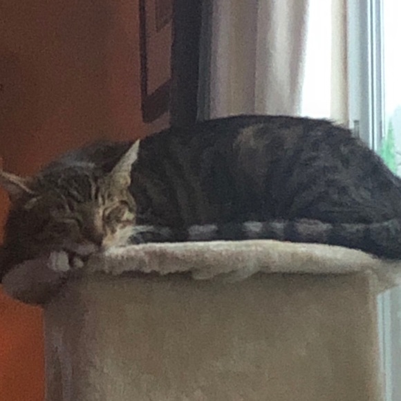 Profile Picture of Alex Jones (@alexjones206) on Poshmark