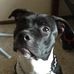 Profile Picture of Iverson Gandy (@iverson.gandy.9) on Facebook