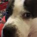 Profile Picture of Kyle Alder (@kyle.alder.31) on Facebook