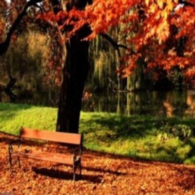 Profile Picture of Lynette Petersen (@Lynette28521712) on Twitter