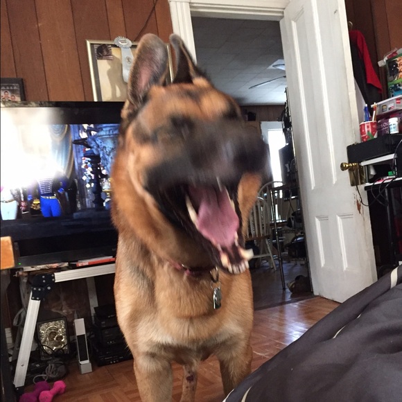 Jamie Saxonis - Poshmark Profile Picture of Jamie Saxonis (@koukla24) on Poshmark