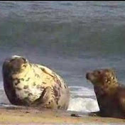 Profile Picture of John Maris (@oldjohn1945) on Youtube