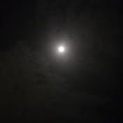 HAhN - Youtube Profile Picture of HAhN (@HAhN-k5p) on Youtube