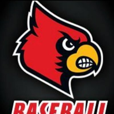 Brad Levy - Twitter Profile Picture of Brad Levy (@rays338) on Twitter