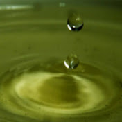 Profile Picture of Benson Yu (@bensonyu1795) on Youtube