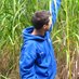Profile Picture of Ben Keane (@fluxsoilsleaves) on Twitter