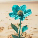 Profile Picture of Souky Aina (@Souky-Aina) on Facebook