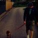 Profile Picture of Steve Keeling (@step1528) on Pinterest