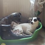 Profile Picture of Kim Scheibe (@kim_scheibe) on Instagram