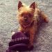 Profile Picture of fredda/fred Kellogg-McMahon (@tofred) on Pinterest