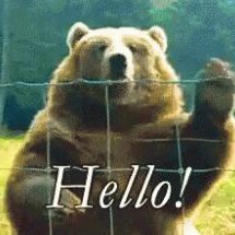 Profile Picture of Martin Kodaj (@KodajMartin) on Twitter