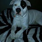 Profile Picture of Renee Jordan (@r.jordan67785) on Instagram