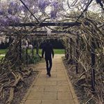 Profile Picture of Adam Holman (@adamholman) on Instagram