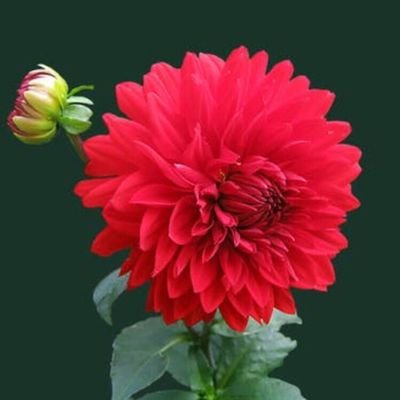 Profile Picture of Byron Davies (@ByronDa11774871) on Twitter