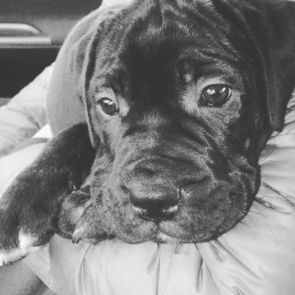 Profile Picture of Shelley Cail zurell (@zurellshelley) on Poshmark