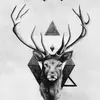 Profile Picture of Caleb Acres (@caleb_acres_04) on Tiktok