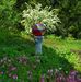 Profile Picture of Scott N Brenda Belliveau (@scott.belliveau.75) on Facebook