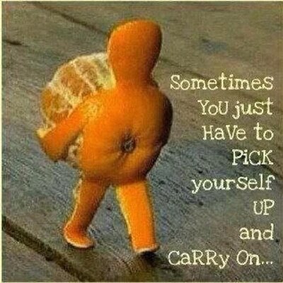 Steven Festa - Twitter Profile Picture of Steven Festa (@festa749) on Twitter