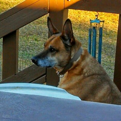 Profile Picture of Penny Power (@p2rn) on Twitter