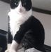 Profile Picture of Max Coker (@max.coker.376) on Facebook