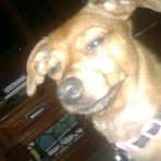 Profile Picture of James Rossel (@james.rossel.9) on Facebook