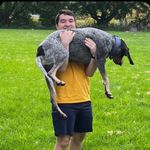 Steven Charlebois - Instagram Profile Picture of Steven Charlebois (@steven.charlebois) on Instagram