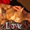 Profile Picture of Adam Funk (@@30198177257) on Tiktok