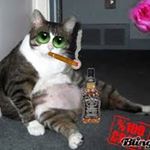 Profile Picture of matthew layton (@stemplar13) on Instagram