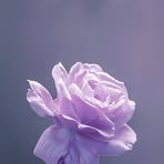 Profile Picture of Agatha Blaire (@Agatha-Blaire) on Facebook