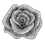 Profile Picture of Ian Chuang (@artian.c) on Instagram