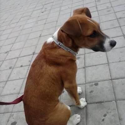 Camilo Zapata - Twitter Profile Picture of Camilo Zapata (@camilozapata094) on Twitter