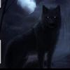 Profile Picture of Kevin Drees (@@kevindrees6) on Tiktok