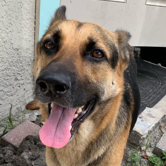 Profile Picture of Joshua Soza (@yvngdagger1738) on Poshmark