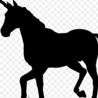 Profile Picture of Sara Mcdonald-svatko (@sara-mcdonald-svatko-1) on Quora